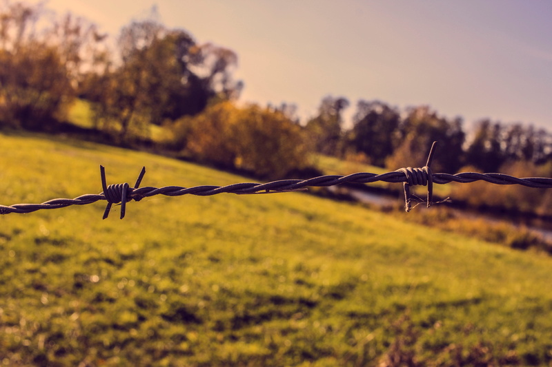 wire, barrier, outdoors, summer, background, field, boundary, land, demarcation, hell, metal, border, focus on foreground, day, fence, protection, sharp