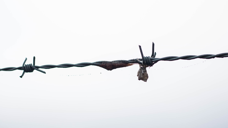 design, sharp, steel, scary, defense, metal, security, danger, wire, communication, alloy, protection, boundary, exclusion, silhouette, copy space, iron