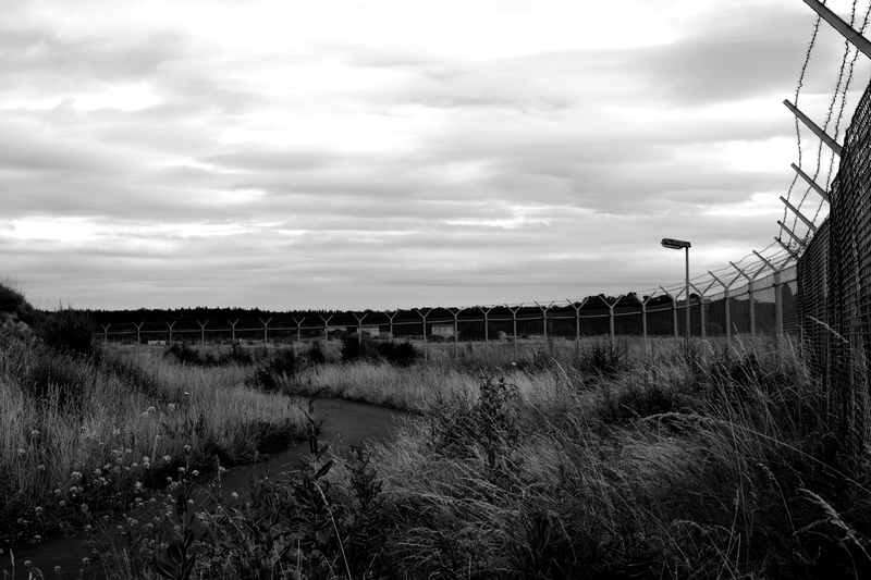 demarcation, growth, pile, thorn, symbol, iron, clamping, warning, caution, scenics - nature, land, metal, border, 4K, pointed, barbed wire fence, landscape