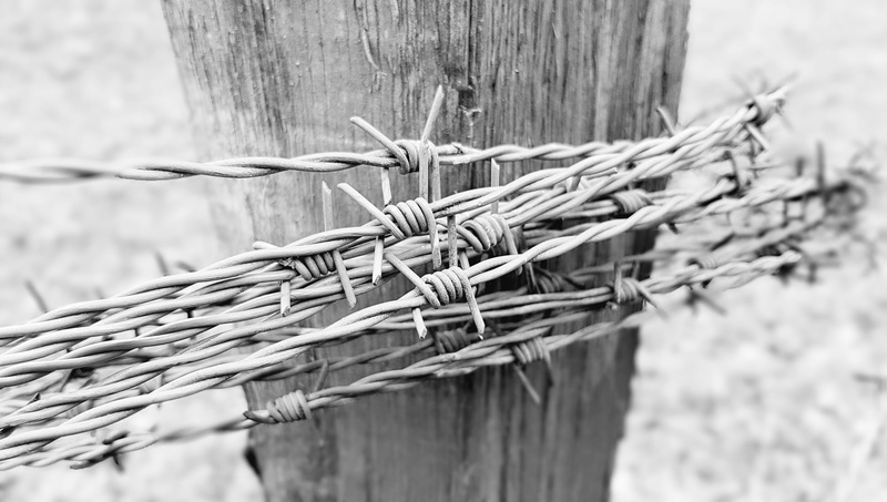 boundary, barrier, fence, 4K, day, nature, barbed wire, fencing, wire, no people, selective focus, tied up, close-up, black and white, injury, limit, post