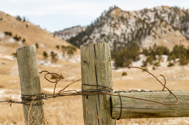 barbwire, agriculture, mountain, land, arid climate, outdoors, barrier, 4K, plant, pasture, field, countryside, rural, Fence, protect, cattle, focus on foreground