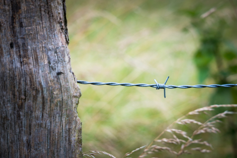 fence post, wire, demarcation, security, pasture fence, nature, pile, 5K, plant, barrier, wood - material, fence, day, wooden posts, sharp, protection