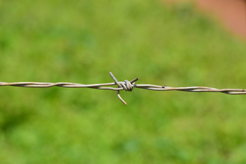 guard, boundary, day, fence, war, barbed wire, focus on foreground, safety, no people, wire, barbed, warning sign, animal, iron, defense, security, 5K