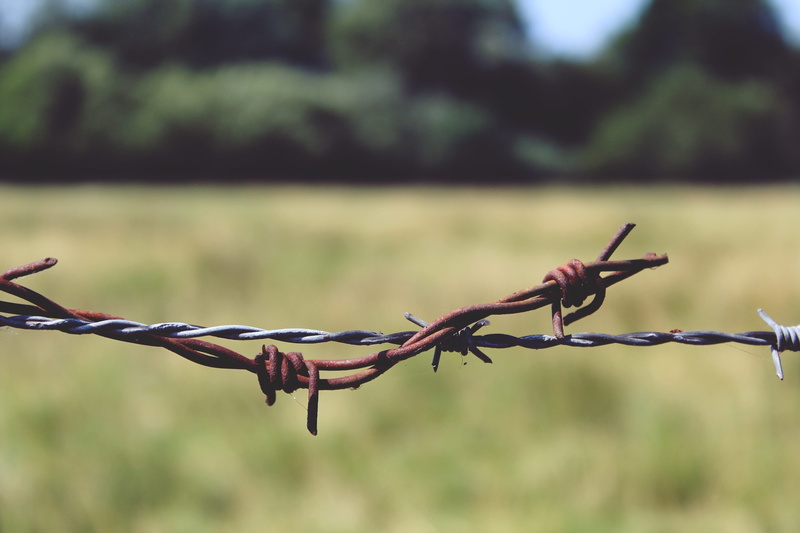 safety, barbed wire fence, coupling, old, warning sign, metal, fence, wiring, wire, land, barbed wire, focus on foreground, nature, barrier, day, risk