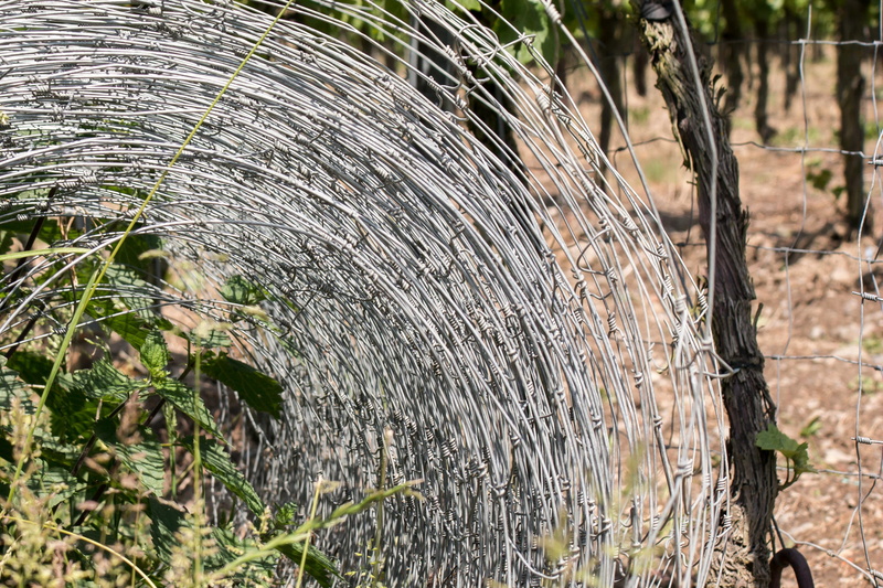 wood - material, protection, fence off, water, growth, field, tree trunk, no people, 2K, wire mesh fence, fencing, focus on foreground, spraying, wire