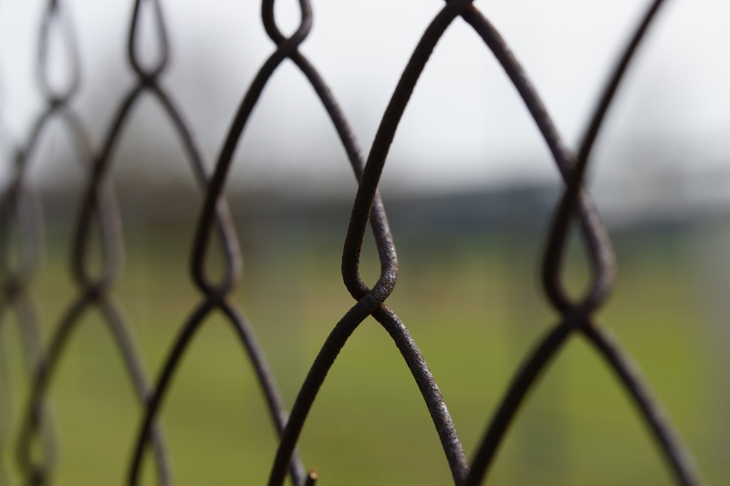 selective focus, border, boundary, demarcation, backgrounds, day, close-up, outdoors, brown, Metal, wire mesh fence, wire, focus on foreground, security