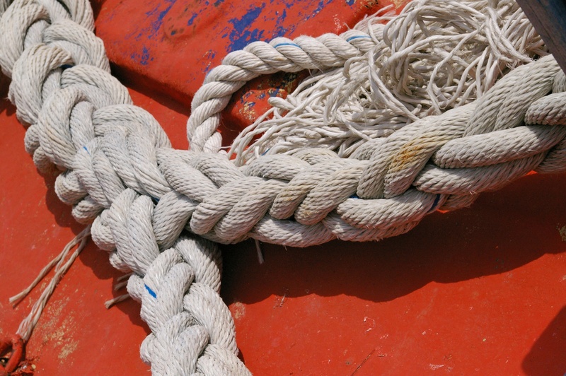 transportation, close up, fischer, fishing industry, cordage, white color, water, connection, fish, durability, detention, knitting, woven, tied up, harness lines