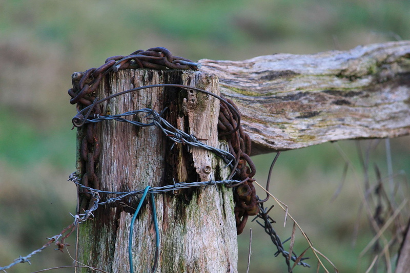 weathered, input, land, 2K, goal, outdoors, protection, door, bar, security, close-up, animal, animal themes, farm, nature, safety, agriculture, rope