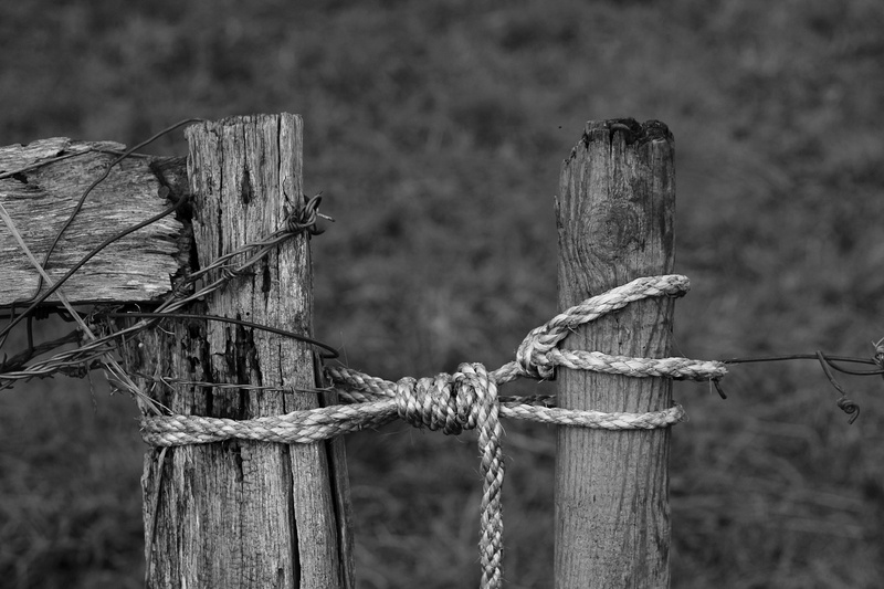 no people, pasture, fence, input, farm, nature, security, country life, rural, barrier, protection, old, post, 1080P, pile, metal, outdoors, barbed wire