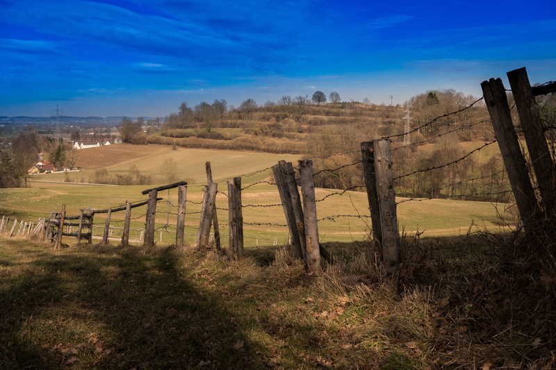 scenics - nature, environment, outdoors, tranquility, post, forest, barrier, meadow, protection, safety, graze, wood, tranquil scene, day, trail, field