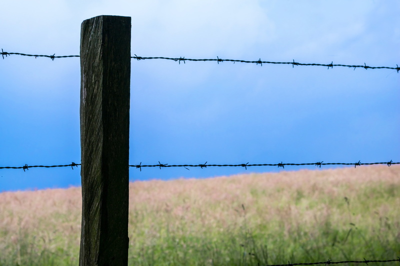 nature, pile, fence, imprisoned, protection, landscape, security, architecture, demarcation, 5K, barrier, pasture, land, metal, sky, safety, outdoors