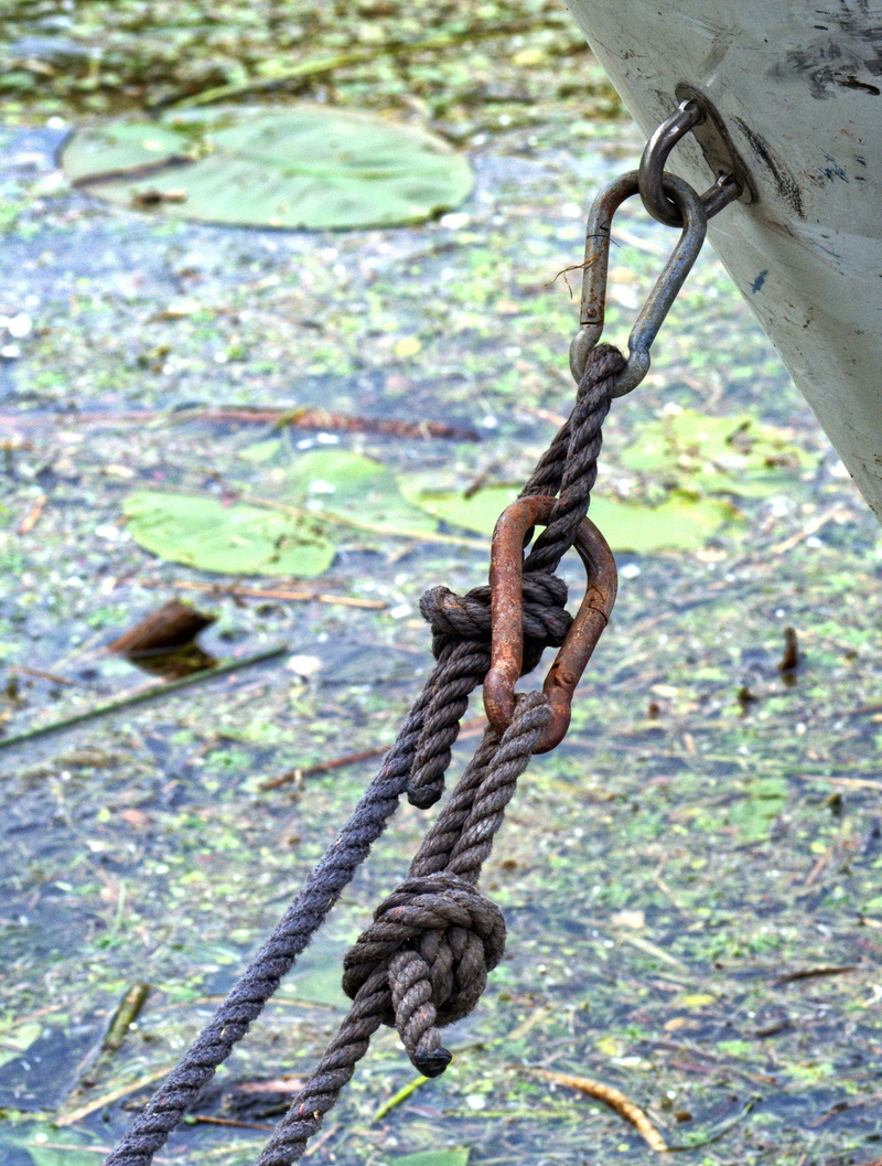 weathered, iron, chain, high angle view, pattern, fixing, focus on foreground, outdoors, metal, no people, woven, knot, water, dew, cordage, rope, ship
