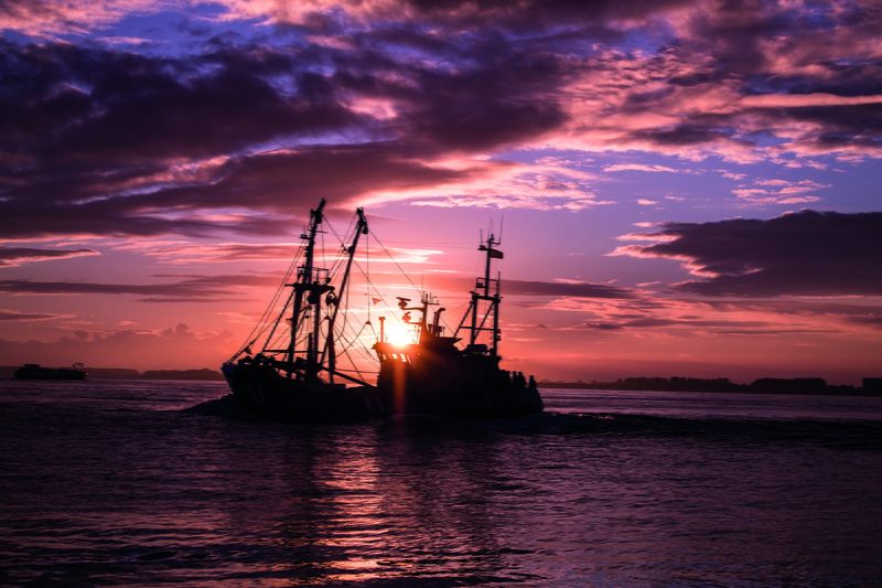 tranquility, coast, sailing, transportation, sunlight, sailing ship, nautical vessel, sea, mast, water, harbor, seashore, scenics - nature, mode of transportation