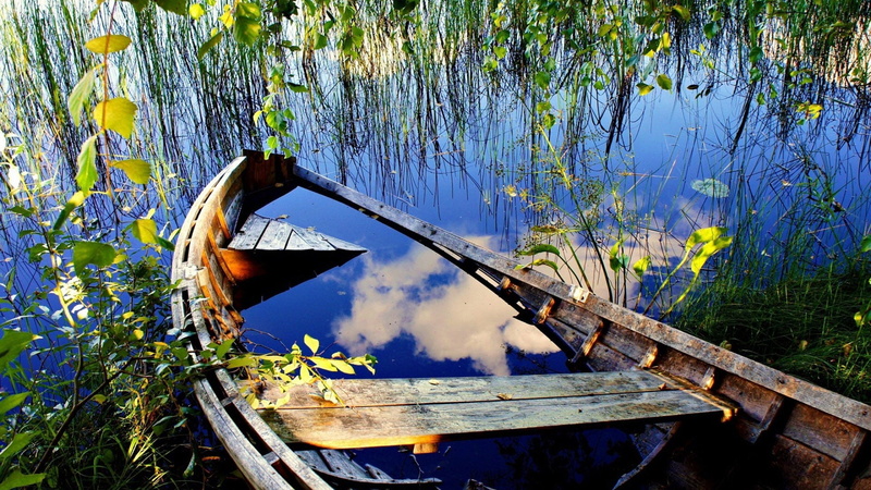 day, summer, outdoor, ocean, lake, tropical, nautical vessel, vessel, 1080P, canal, no people, coast, ruined, rowboat, palm, small boat, sea, canoe, fisherman