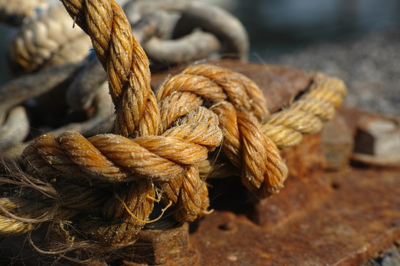 strength, old, photography, node, rope, fiber, backgrounds, industry, wood - material, day, background, solid, outdoor, detail shots, connect, durability