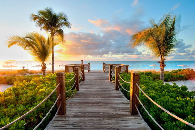 water, plant, tree, wood, nature, tranquil scene, sky, beauty in nature, direction, palm tree, scenics - nature, horizon, land, outdoors, palm trees, tranquility
