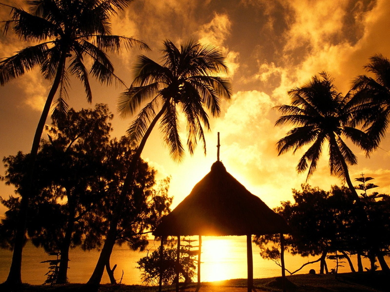 kuto, nature, new, pines, sun dawn, 720P, bay of kuto, gold, hd, new caledonia, bay, isle of pines, silhouette, caledonia, dawn, isle, sun