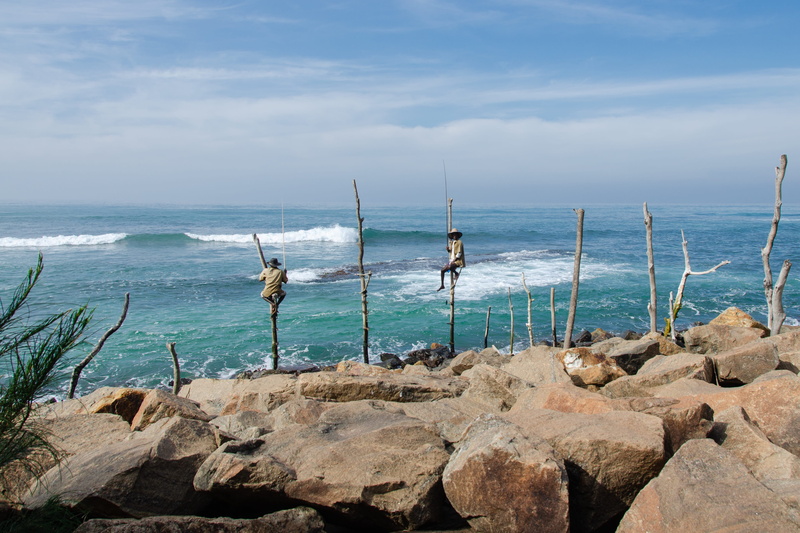 horizon, stilt fishing, nature, traditional, sri lanka, scenics - nature, tranquil scene, ocean, rock, 4K, beauty in nature, water, fishing, fisherman