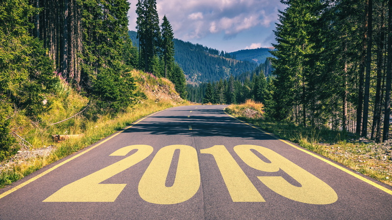 highway, 5K, 2019, road, new year, treew, forest, pine forest