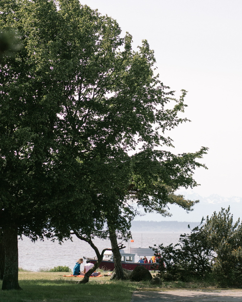 green color, ocean, people, seattle, day, beauty in nature, road trip, 1080P, women, blue, picnic, men, growth, land vehicle, golden gardens, lifestyles
