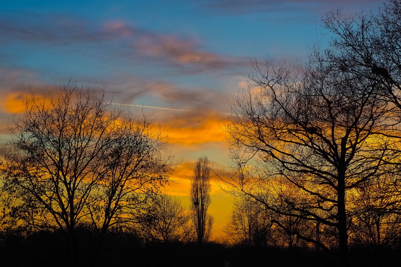 lake, color Image, branch, beauty In Nature, landscape, tranquil scene, light, landscapes, beautiful, yellow, color, plant, nature, cloud - sky, evening sky