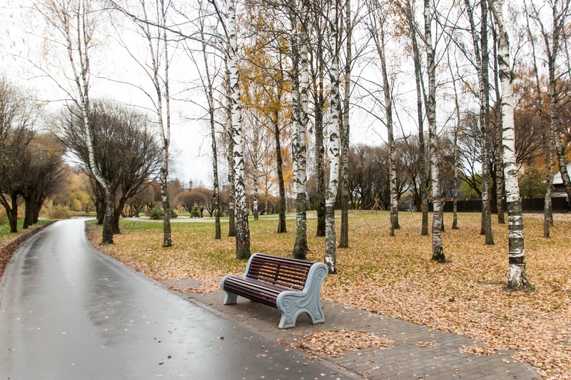 change, peaceful, asphalt, garden fall, autumn, gardener, sidewalk, 2K, day, the way forward, botanical, bench, golden autumn, evening, nature, gloomy