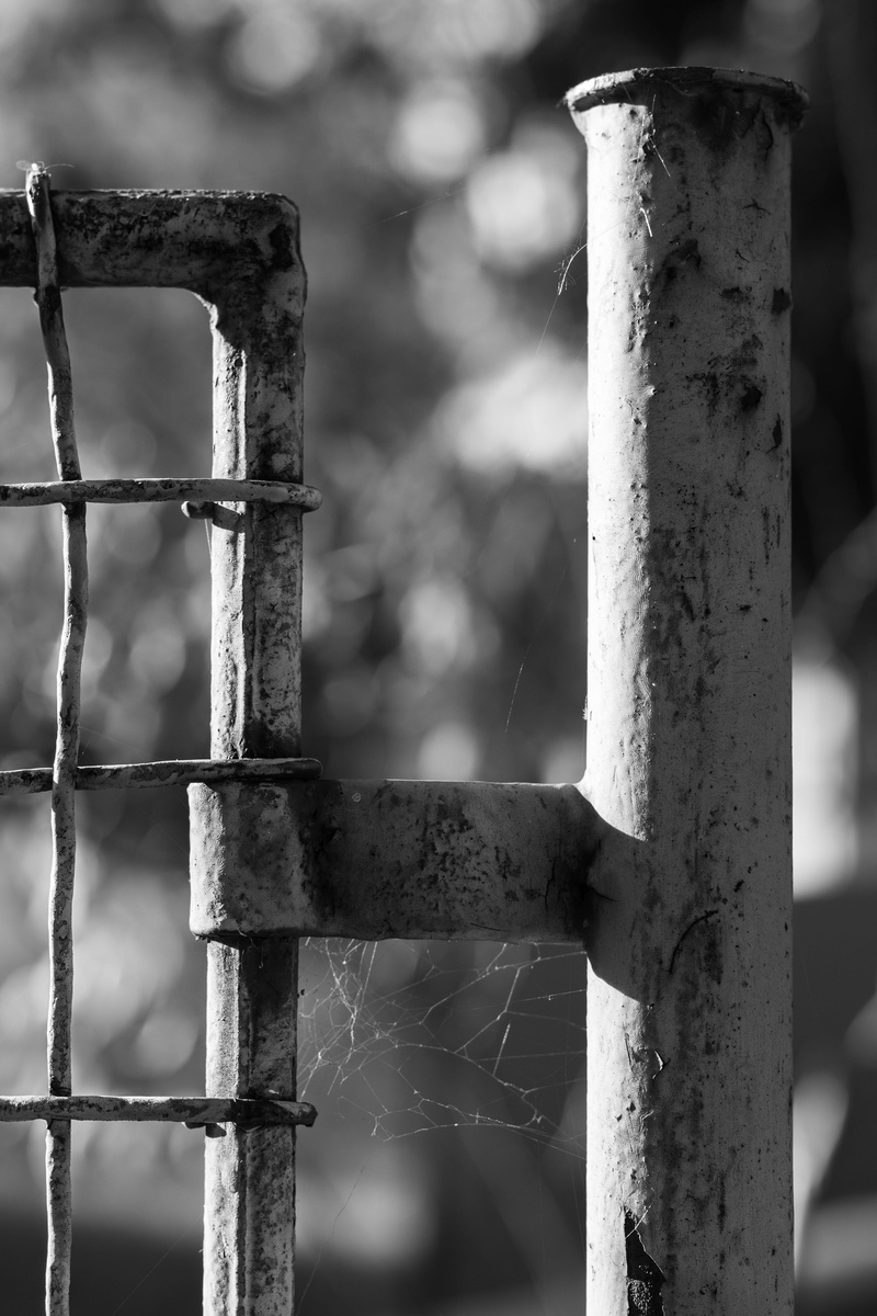 barrier, jail, defense, no people, weathered, security, close-up, rusty, architectural column, pole, spiny, fencing, cable, demarcation, wooden post, closing