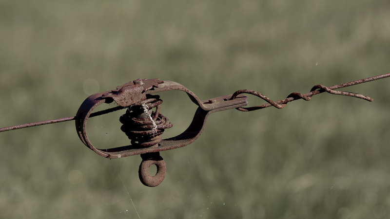 barrier, rusty, demarcation, steel, barbed wire fence, reflection, pasture fence, safety, nature, wire, lake, tensioner, limit, drop, water, hanging, connection