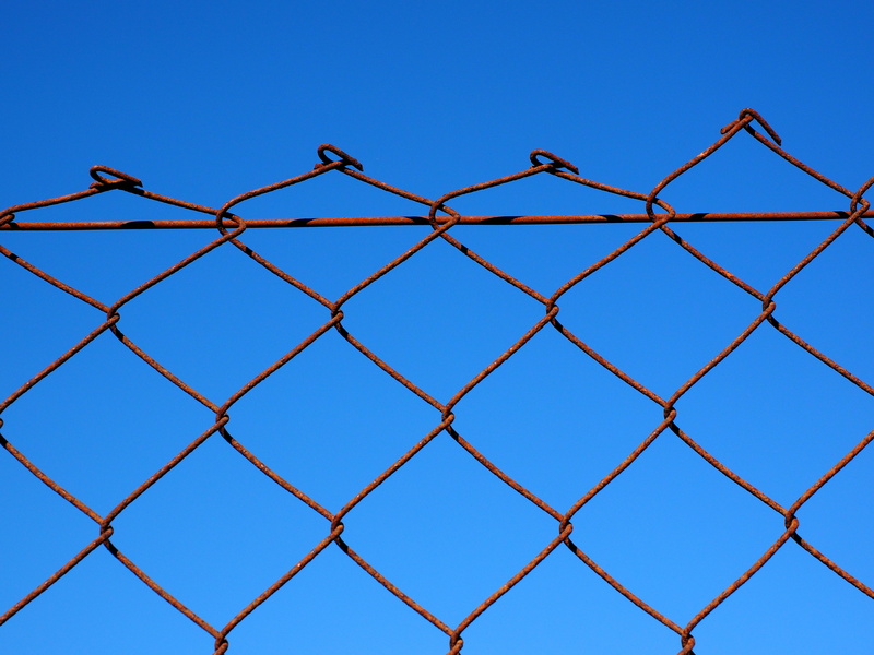 exclusion, nature, day, wire, protection, wire mesh fence, sky, pattern, rusted, clear sky, wire mesh, chainlink Fence, close-up, no people, demarcation