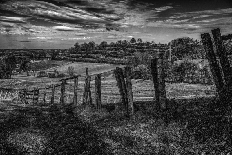 wicker fence, rural, trail, pile, tranquil scene, wood - material, idyllic, pasture fence, fields, monochrome, old, effective, beauty in nature, wire mesh fence
