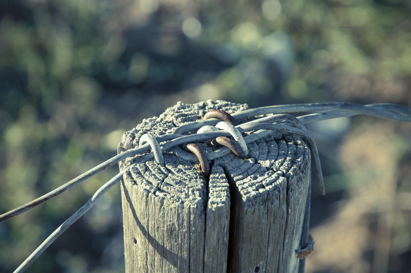 safety, steel, protection, metal, wire, braid, nature, close-up, outdoors, course, barbed wire, barrier, day, wooden post, strength, security, boundary
