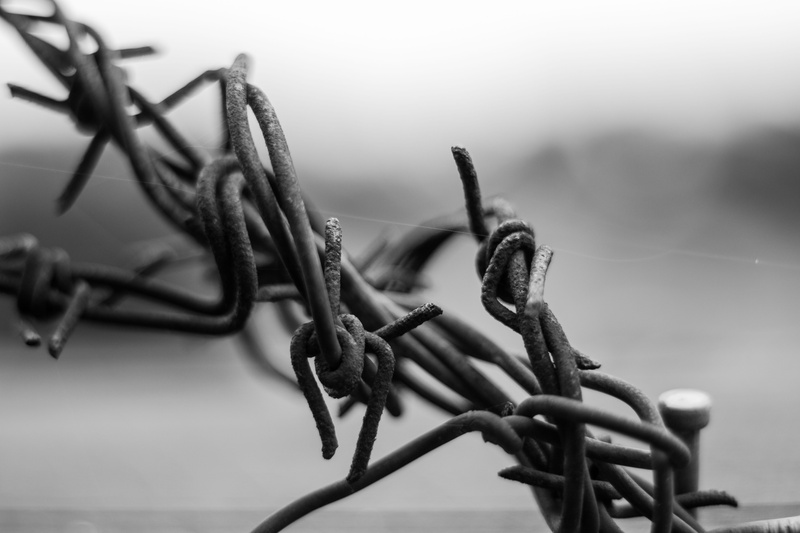 cable, macro, barrier, no people, focus on foreground, spiny, close-up, Depth, close up, security, Wire, selective focus, outdoors, 5K, the safety of the