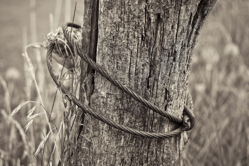 black white, old, wood fence, fence post, sw, wooden posts, weathered, limit, wiring, fence, metal, day, close-up, field, black and white, focus on foreground