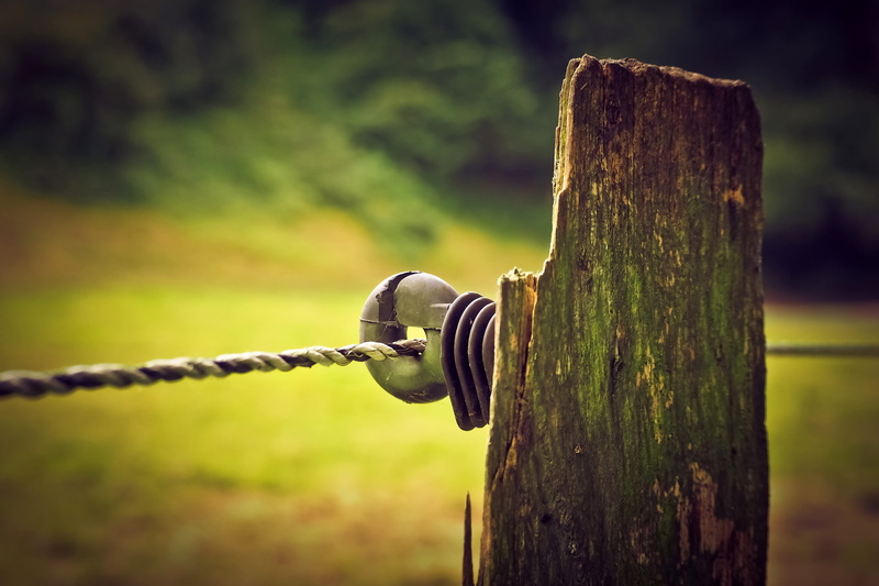 wood pile, wooden posts, close-up, fence post, wooden post, wood - material, old, mood, outdoors, nature, moss, no people, boundary, pasture, idyll, limit