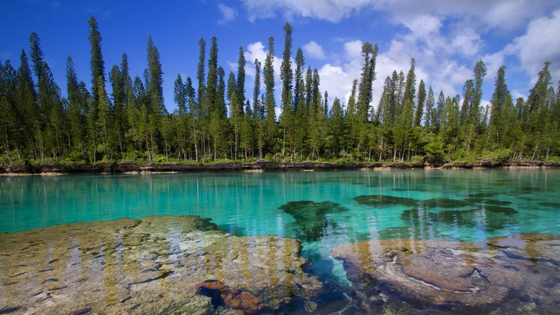 coniferous tree, sky, tranquil scene, plant, forest, beauty in nature, New Caledonia, tranquility, mountain, non-urban scene, land, nature, turquoise colored