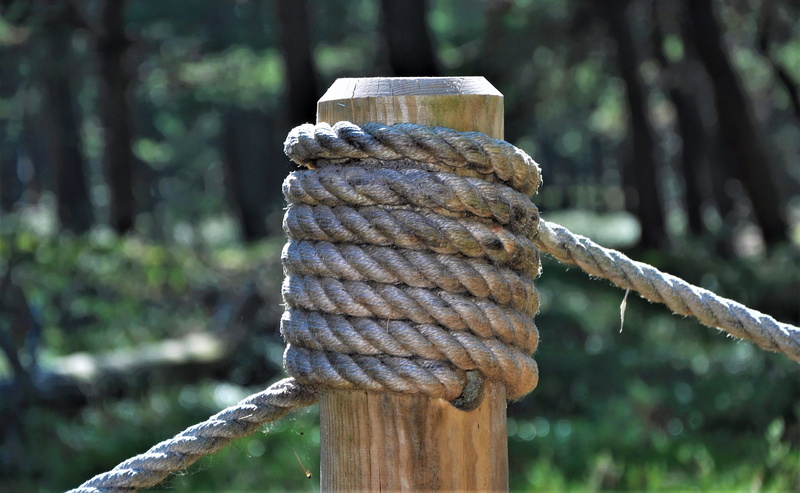 wood - material, wooden post, close-up, pole, post, day, nature, tied up, rusty, tree, node, land, no people, metal, strength, 2K, outdoors, string, forest