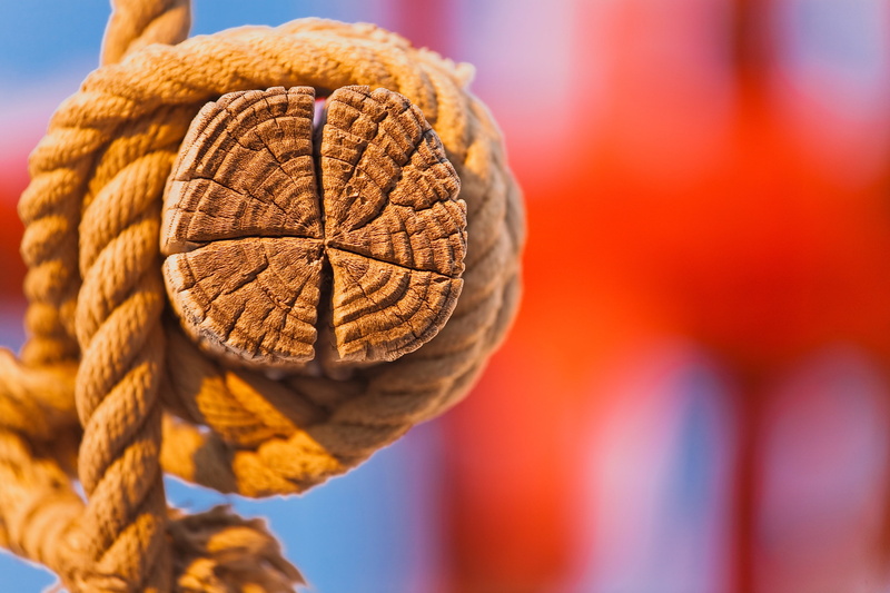 2K, timber, tree, node, rope
