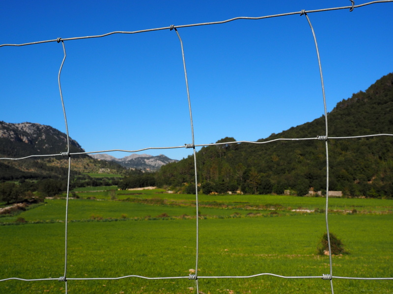 plant, fence, green color, fenced, environment, sheep netting, no people, wildlife fence, clear sky, valley of orient, tranquility, wildzaun, forestry braid