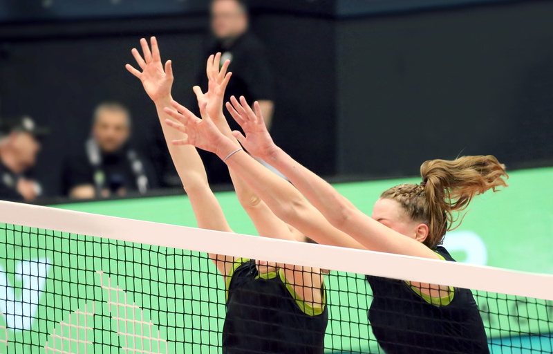 people, young women, championship, playing field, arms raised, standing, day, net - sports equipment, volley, player, young adult, sports hall, women, double block
