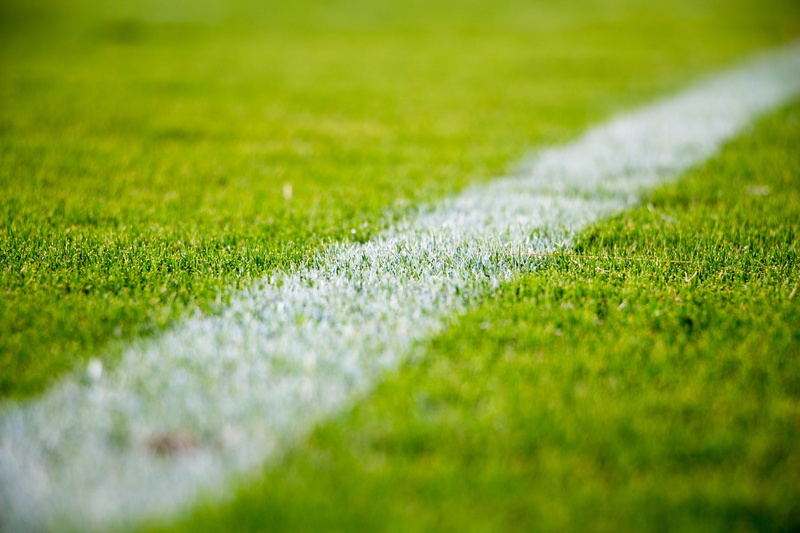 dividing line, white, green color, day, outdoors, single line, plant, 5K, white color, close, nature, backgrounds, soccer, line, grass, surface level