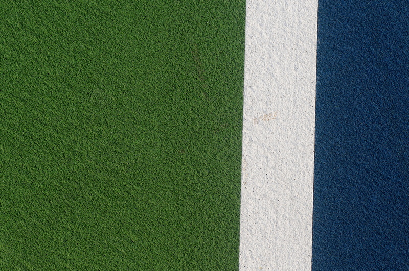day, environment, outdoors, no people, 4K, nature, copy space, grass, untitled, white color, green, white, turf, full frame, dividing line, plant, yard line - sport