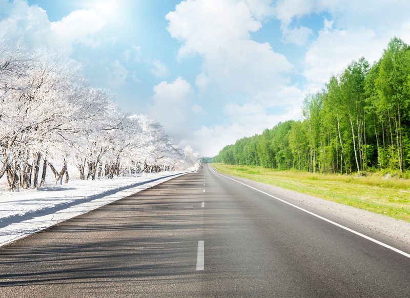 the way forward, lane, plant, beauty In Nature, white, treelined, non-Urban Scene, winter, highway, country Road, no People, dividing line, asphalt