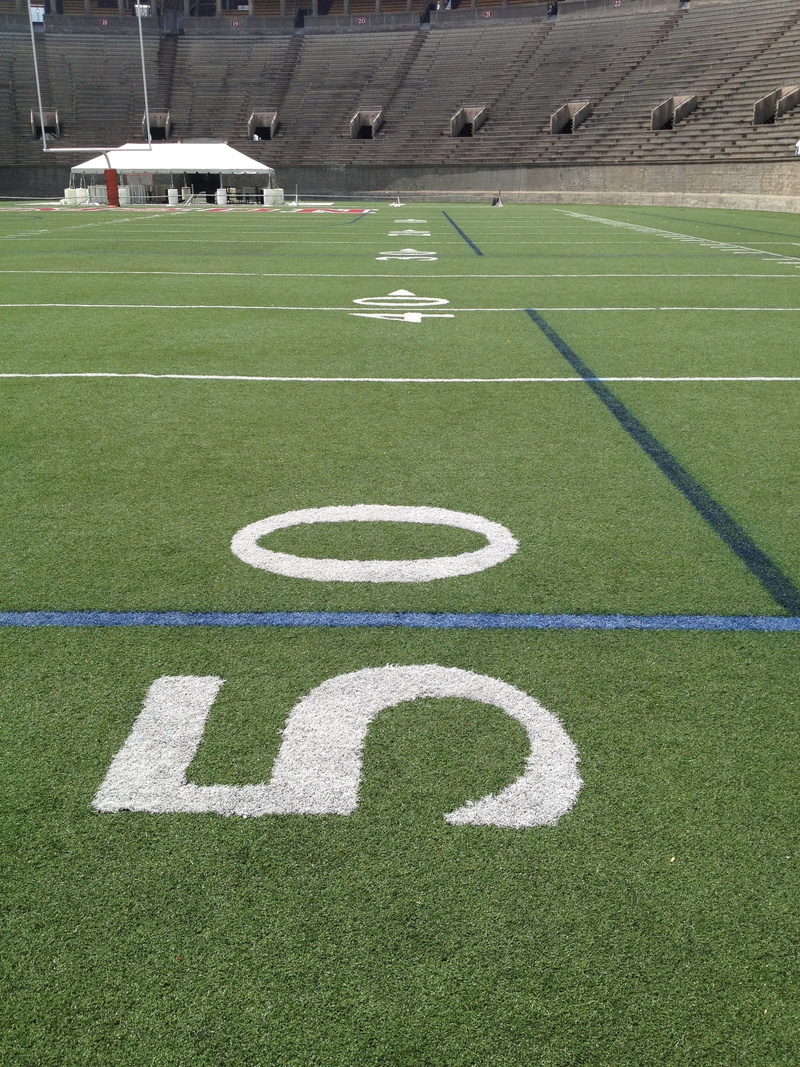 2K, no people, competitive Sport, grass, soccer, high angle view, the, yard line, football Field, plant, sports And Fitness, 50, team sport, green color