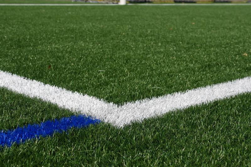 high angle view, rush, land, soccer, grass, turf, plant, single line, line, 5K, football field, field, playing field, day, outdoors, team sport, football pitch