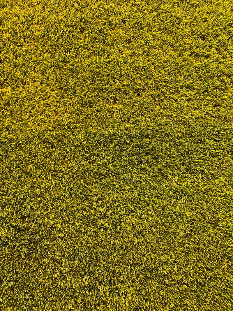abstract, environment, lawn, growth, plant, playing Field, nature, grass, sport, soccer, close-up, day, field, backdrop, green, freshness, land, yellow