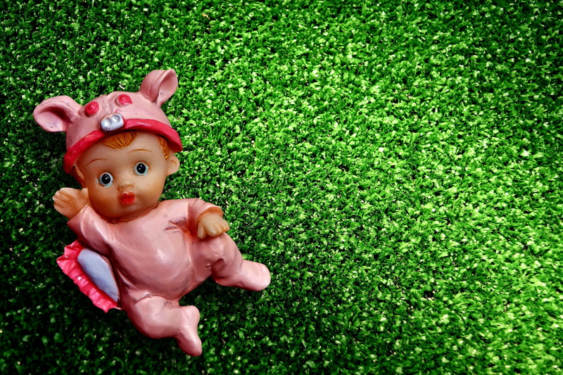 girl, happy, event, birth, field, representation, young, cute, baby, childhood, pink color, meadow, plant, high angle view, figure, small, toy, 1080P