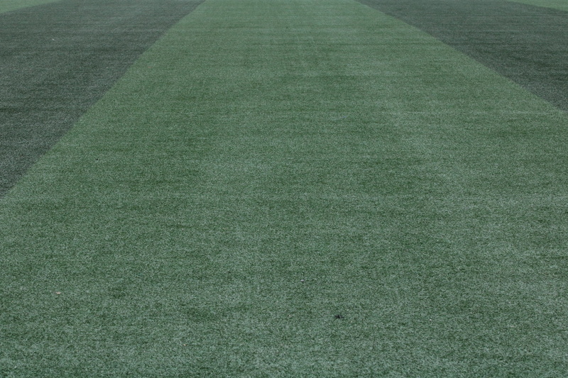 close-up, plant, exercise, high angle view, playing field, textured effect, american football - sport, football, empty, outdoors, artificial turf, surface level