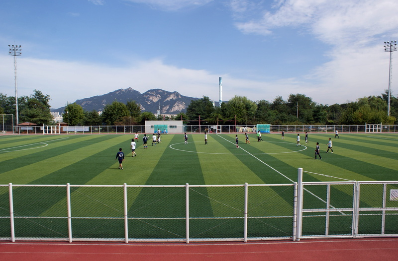 grass, group of people, competitive sport, leisure activity, 2K, green color, ball, playground, soccer field, soccer, net - sports equipment, early football