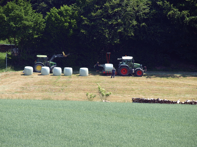 mow, landscape, tractor, plant, tree, fieldwork, Hay, growth, day, mode of transportation, green color, sunlight, outdoors, land, fragmented, Tractors