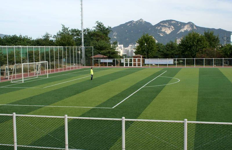 exercise, artificial turf, green color, net - sports equipment, hobby, soccer, leisure activity, early football, plant, soccer field, football, nature